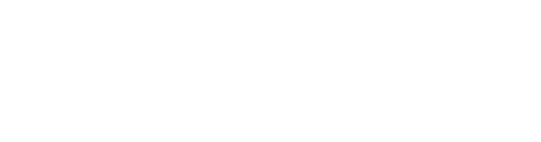 AVIVA HP